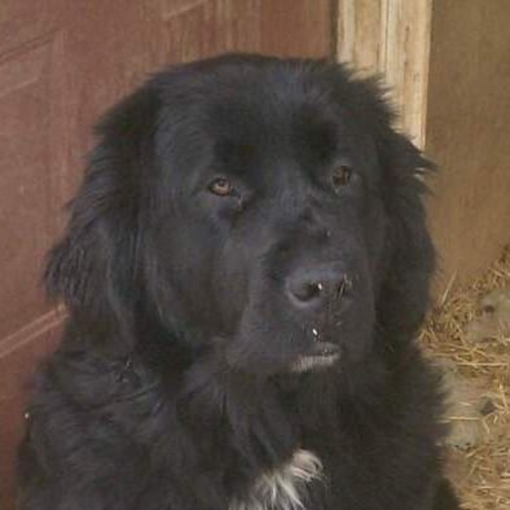 Meet your Posher, Patty